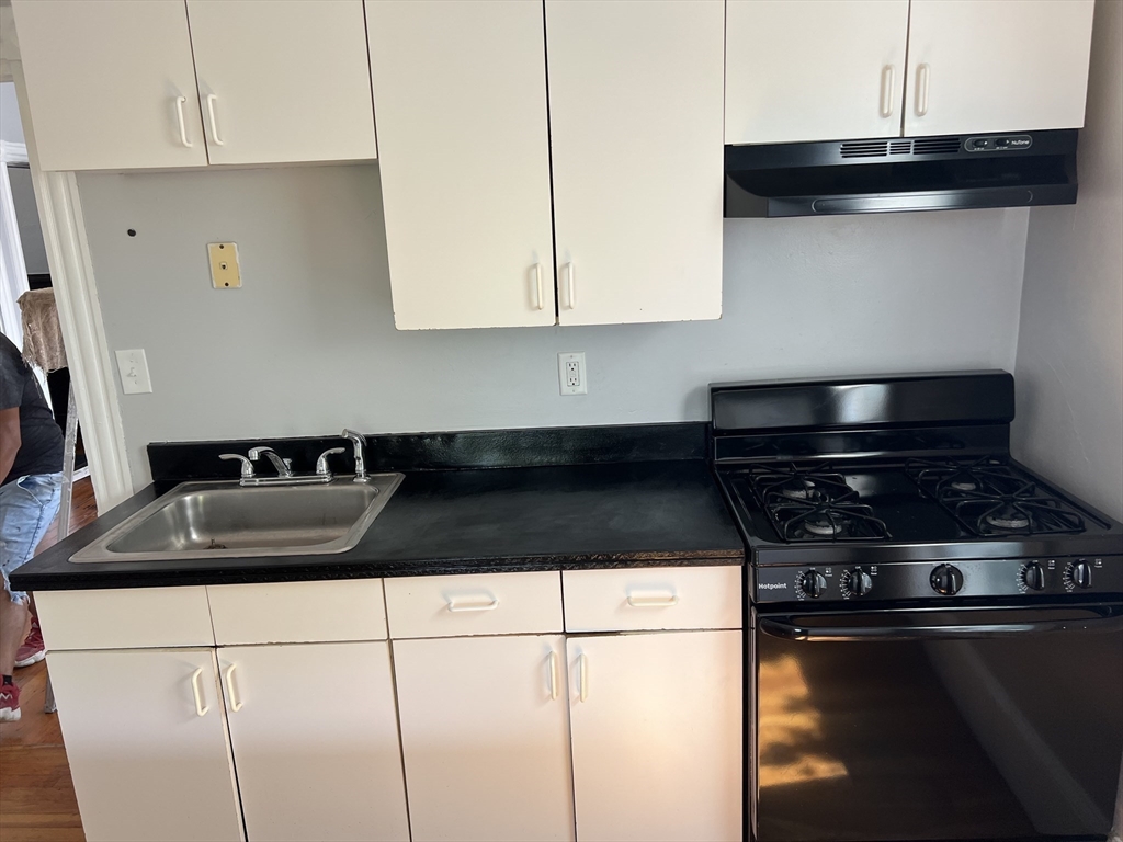 77 Walden Street, Unit 3 Boston, MA 02130 - Photo 3 of 12