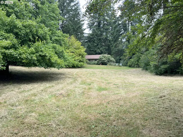 a view of patio with green space