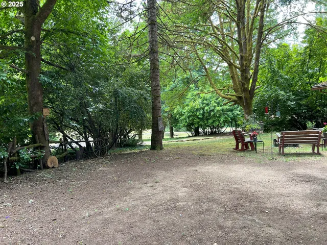 a view of a park with large trees