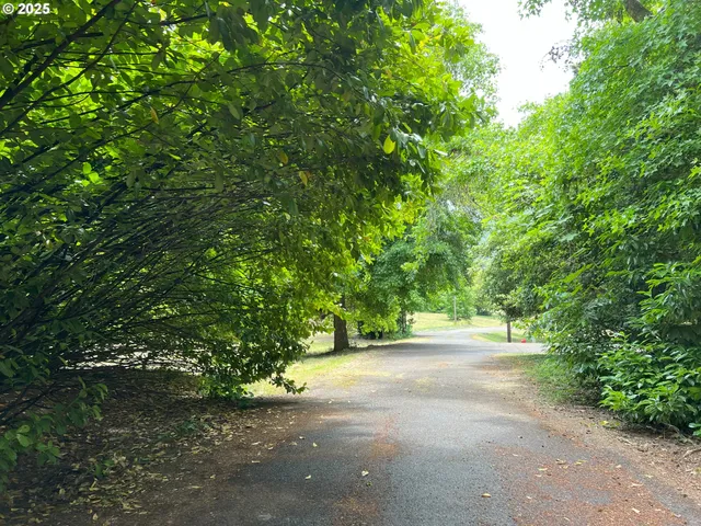 a view of outdoor space and yard
