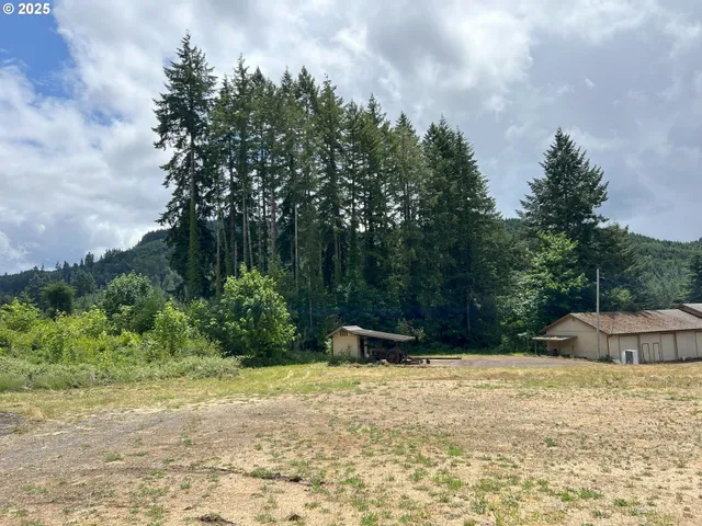 a backyard of a house with lots of green space