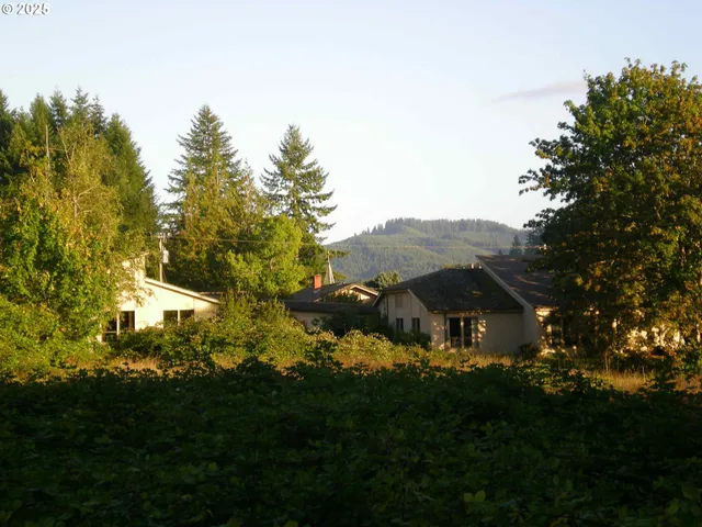 a view of a bunch of trees and bushes