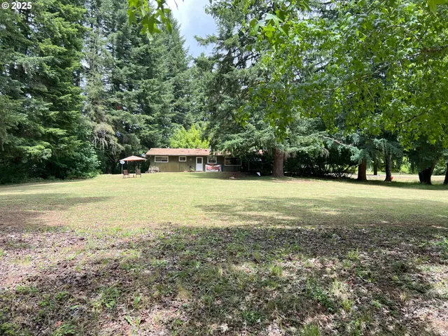 a view of a field with trees in the background