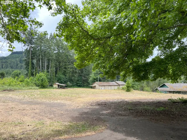 a view of a field with trees in the background