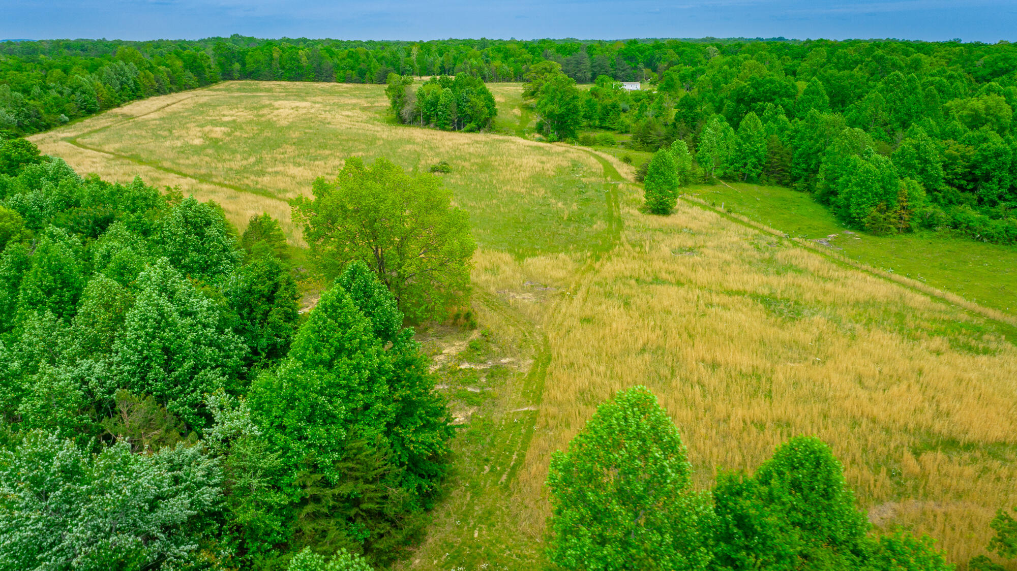 0 Ray Gadd Road Graysville, TN 37338 - Photo 93 of 109 Ray Gadd Road Lot HD-118