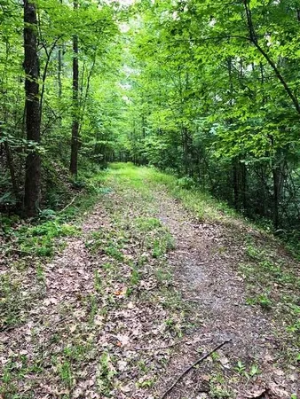 $69,900 | Lot 46 Lake Adger Parkway, Mill Spring, NC 28756