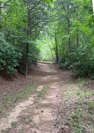 $69,900 | Lot 46 Lake Adger Parkway, Mill Spring, NC 28756