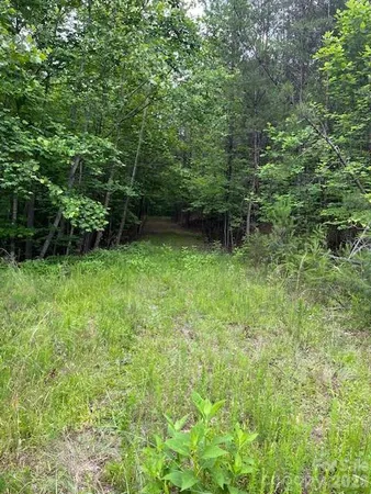$69,900 | Lot 46 Lake Adger Parkway, Mill Spring, NC 28756