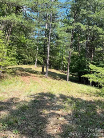 $69,900 | Lot 46 Lake Adger Parkway, Mill Spring, NC 28756
