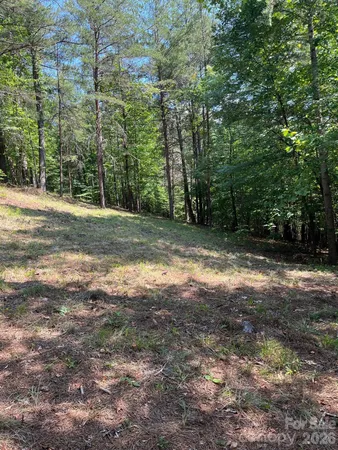 $69,900 | Lot 46 Lake Adger Parkway, Mill Spring, NC 28756