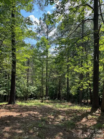 $69,900 | Lot 46 Lake Adger Parkway, Mill Spring, NC 28756