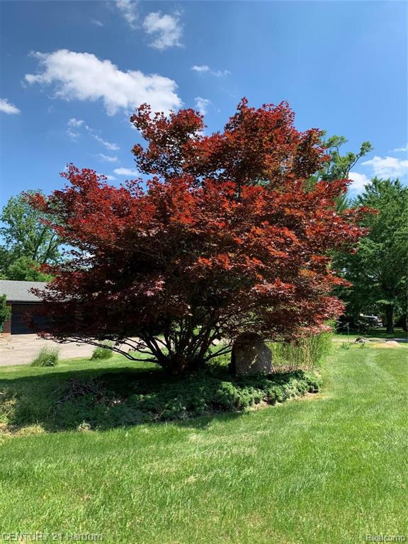 26466 Springland Street Farmington, MI 48334 - Photo 9 of 51