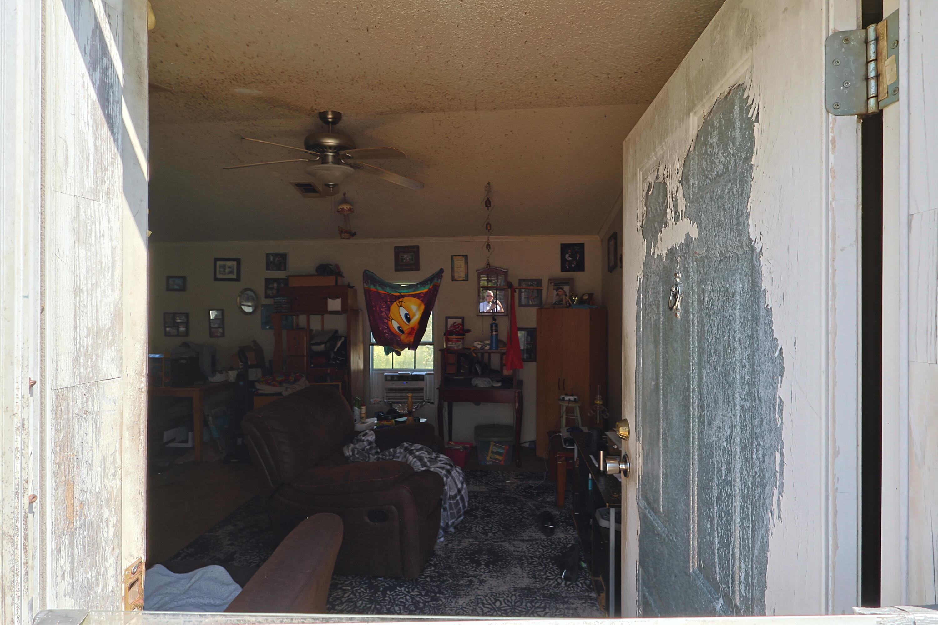 3524 J W Hollington Road Freeport, FL 32439 - Photo 6 of 21 Entry