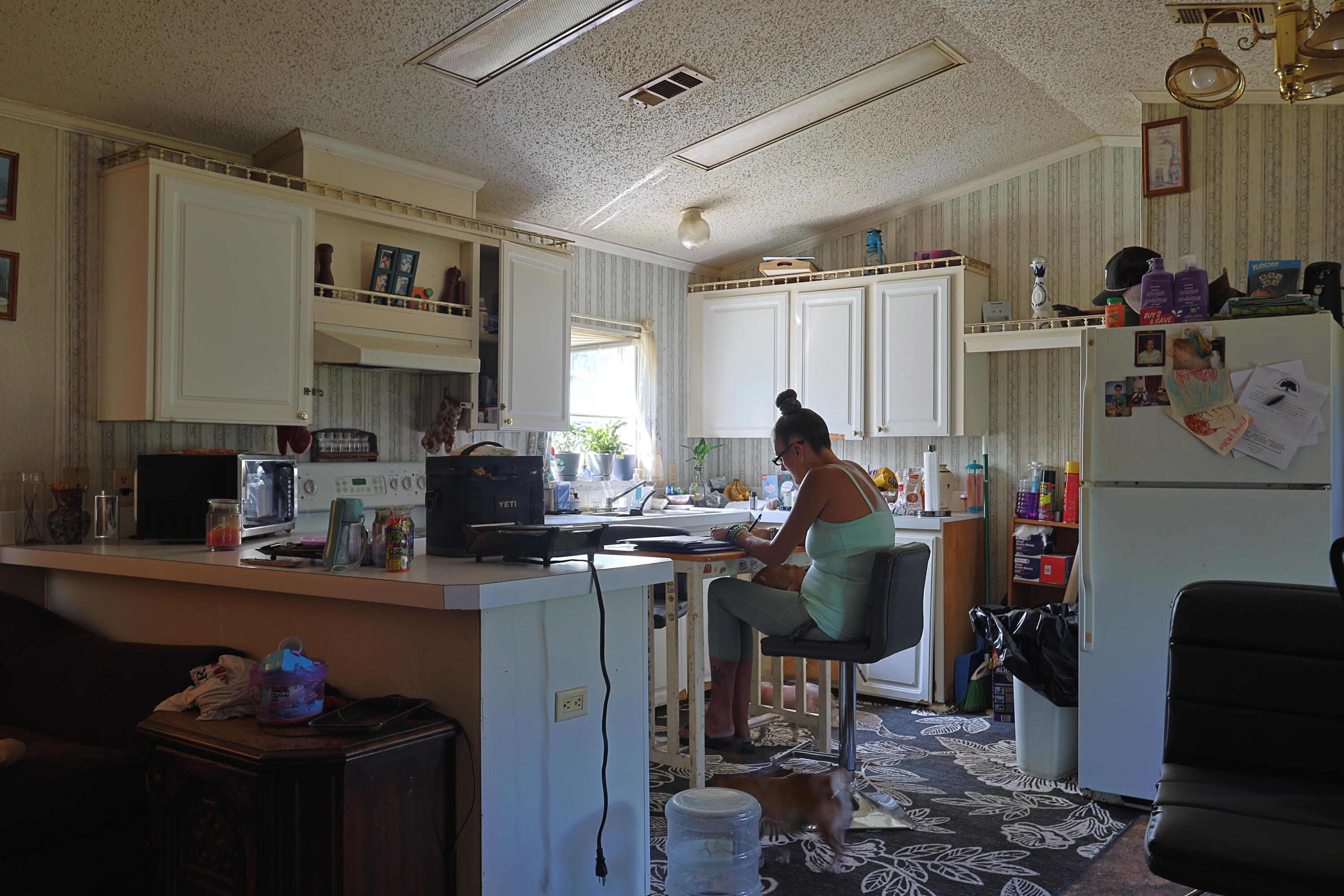 3524 J W Hollington Road Freeport, FL 32439 - Photo 10 of 21 Kitchen