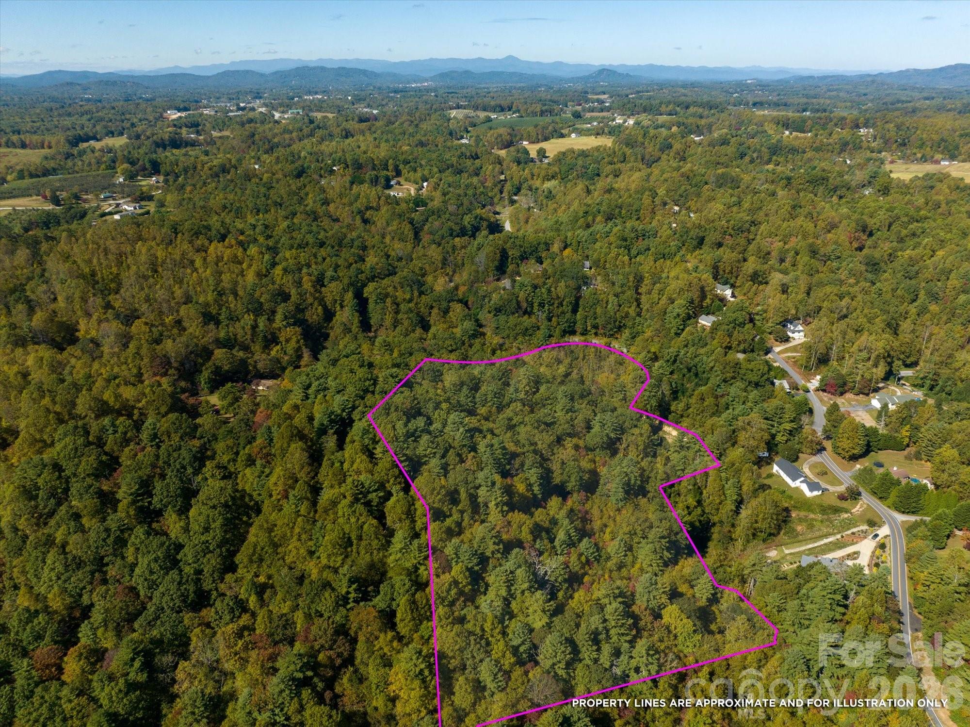 0 Big Hungry Road Flat Rock, NC 28731 - Photo 5 of 40 a view of a city with lush green forest