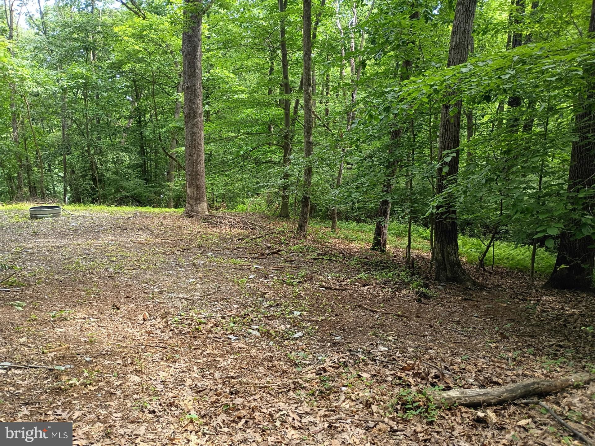 294 Old Racetrack Road Parkesburg, PA 19365 - Photo 2 of 4