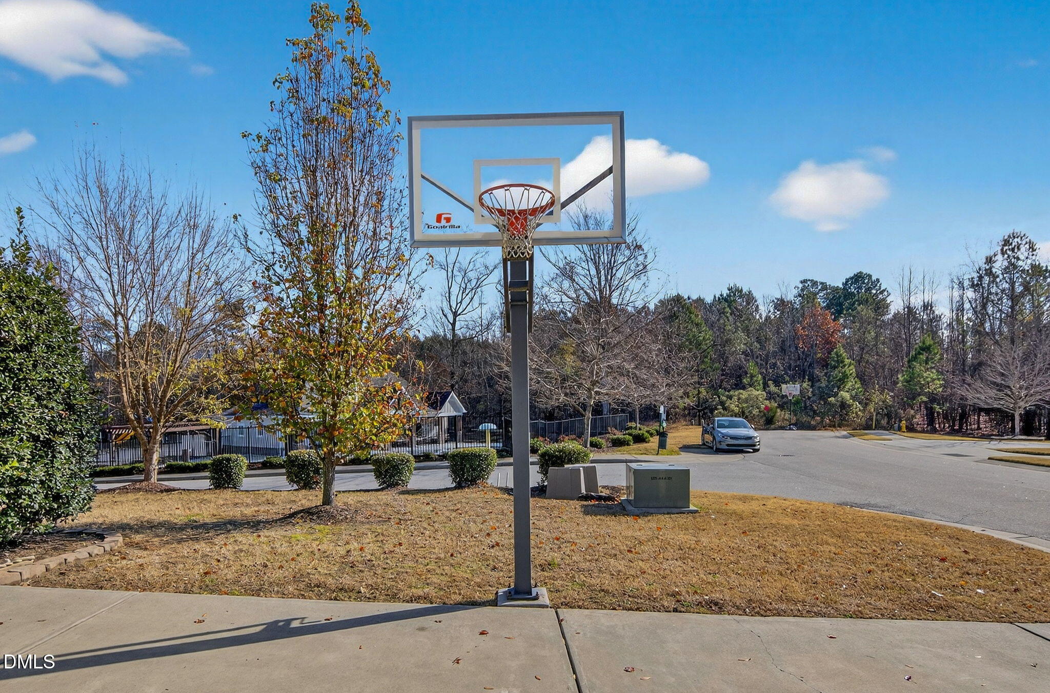 307 Marbella Drive Rolesville, NC 27571 - Photo 5 of 65 a view of a park with iron fence