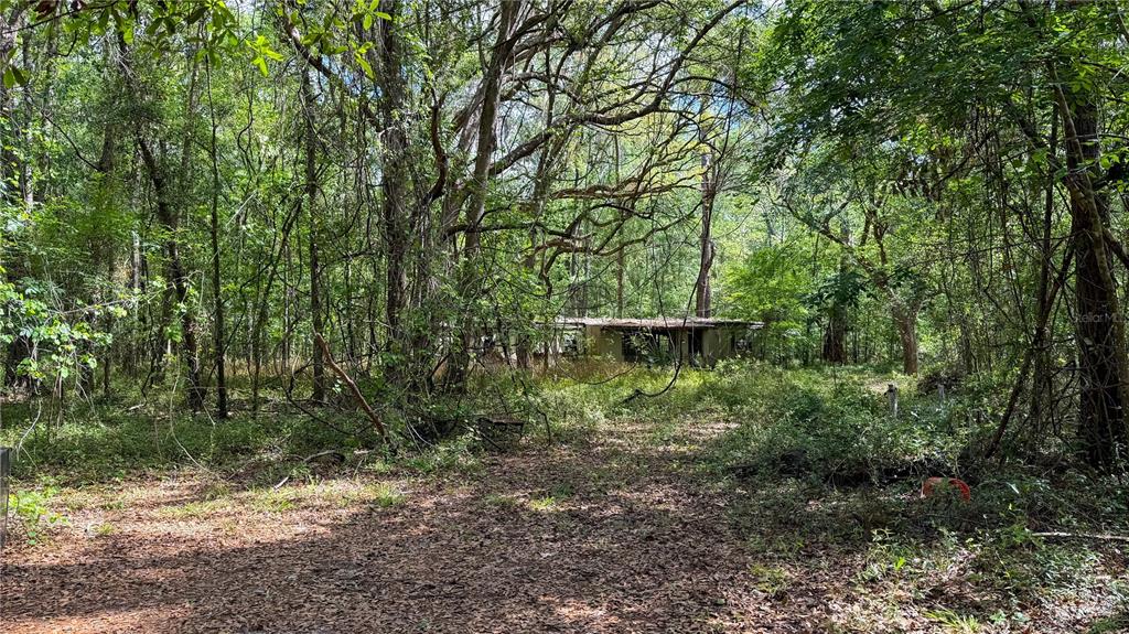 7906 Southwest County Road 346 Archer, FL 32618 - Photo 3 of 6