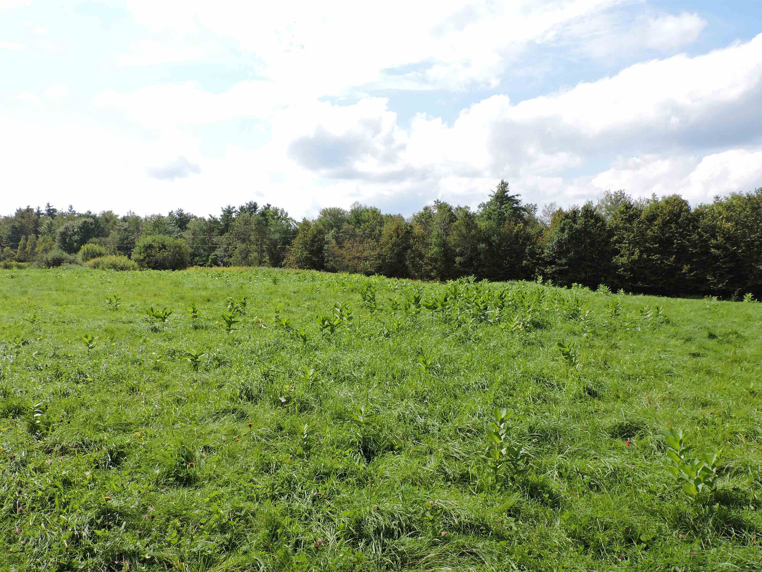 3 Birch Lane Enfield, NH 03748 - Photo 11 of 14