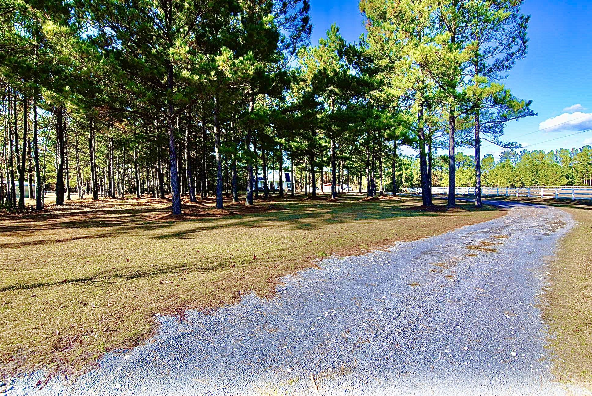 105 Mini-Farm Road Bonneau, SC 29431 - Photo 1 of 19 432FDAD3-B4FD-4AD1-B9E8-A39866391E59_1_2