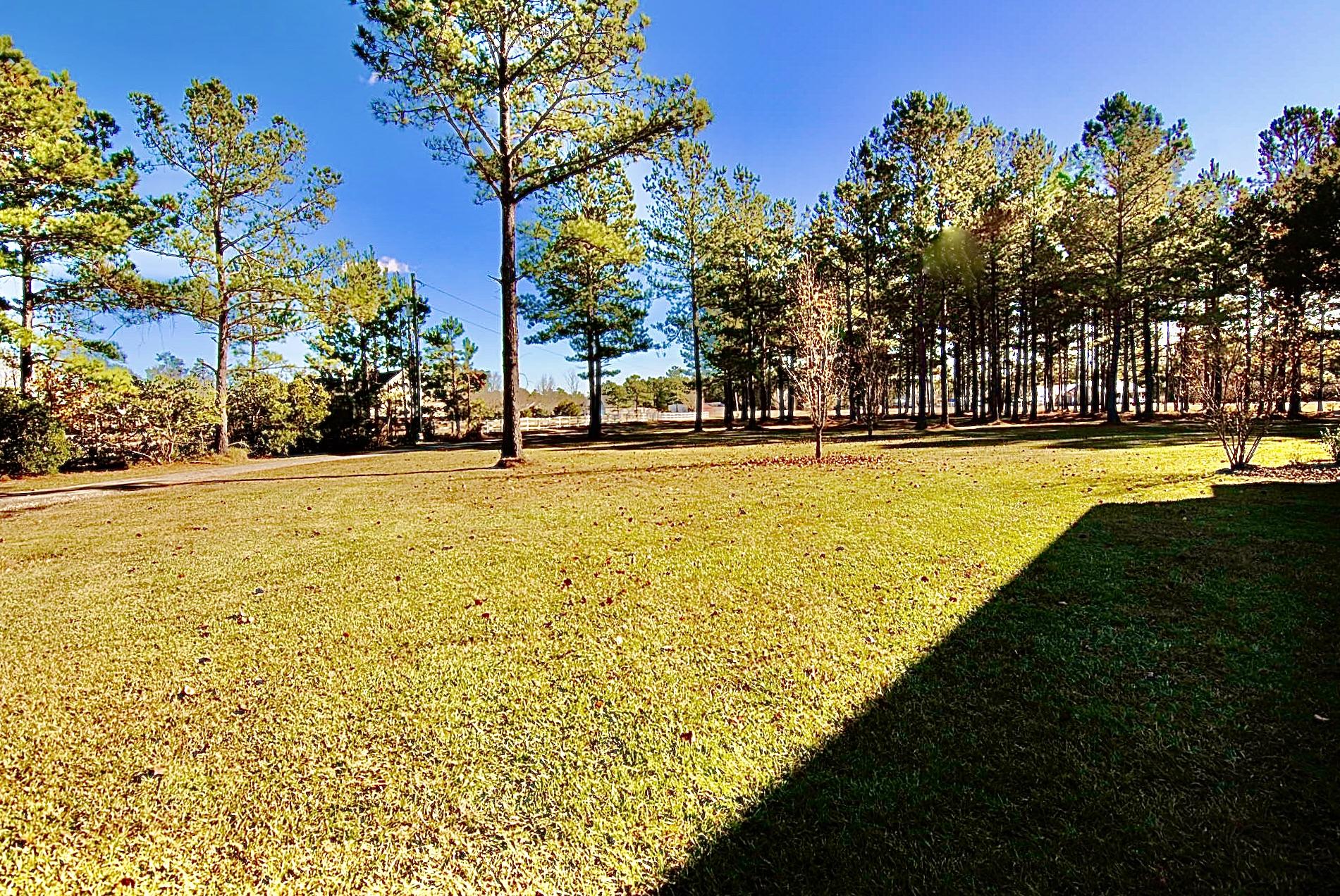 105 Mini-Farm Road Bonneau, SC 29431 - Photo 3 of 19 F445AC20-4B4F-4949-B855-324BCDA6E4E0_1_2