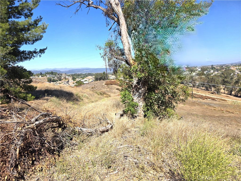 30925 Nicolas Road Temecula, CA 92591 - Photo 26 of 27