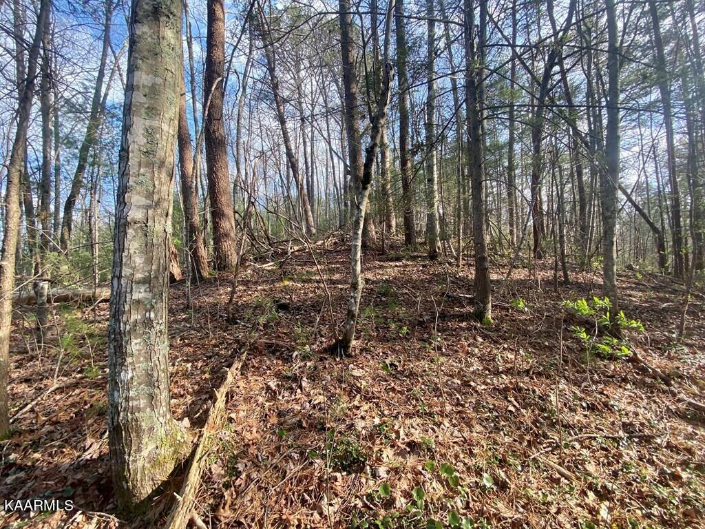 96 Whetstone Road Sevierville, TN 37862 - Photo 14 of 21 96 pic 14