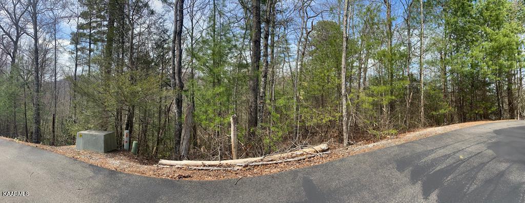 96 Whetstone Road Sevierville, TN 37862 - Photo 4 of 21 96 pic 2