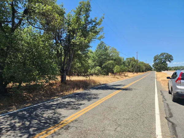a view of a dry yard with trees