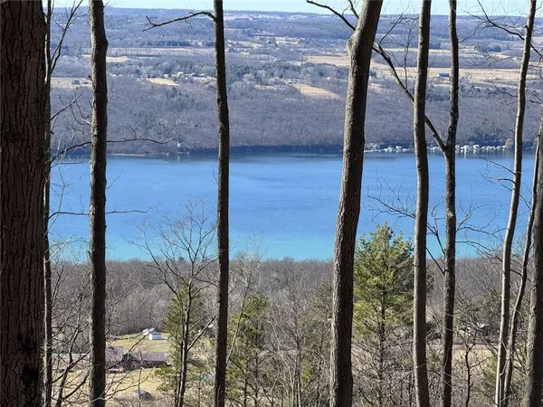 $269,000 | 0 Satterly Hill Road, Burdett, NY 14818