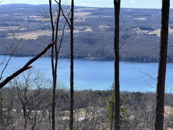 $269,000 | 0 Satterly Hill Road, Burdett, NY 14818