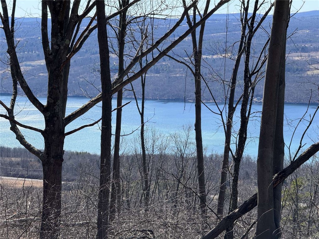 0 Satterly Hill Road Burdett, NY 14818 - Photo 5 of 6