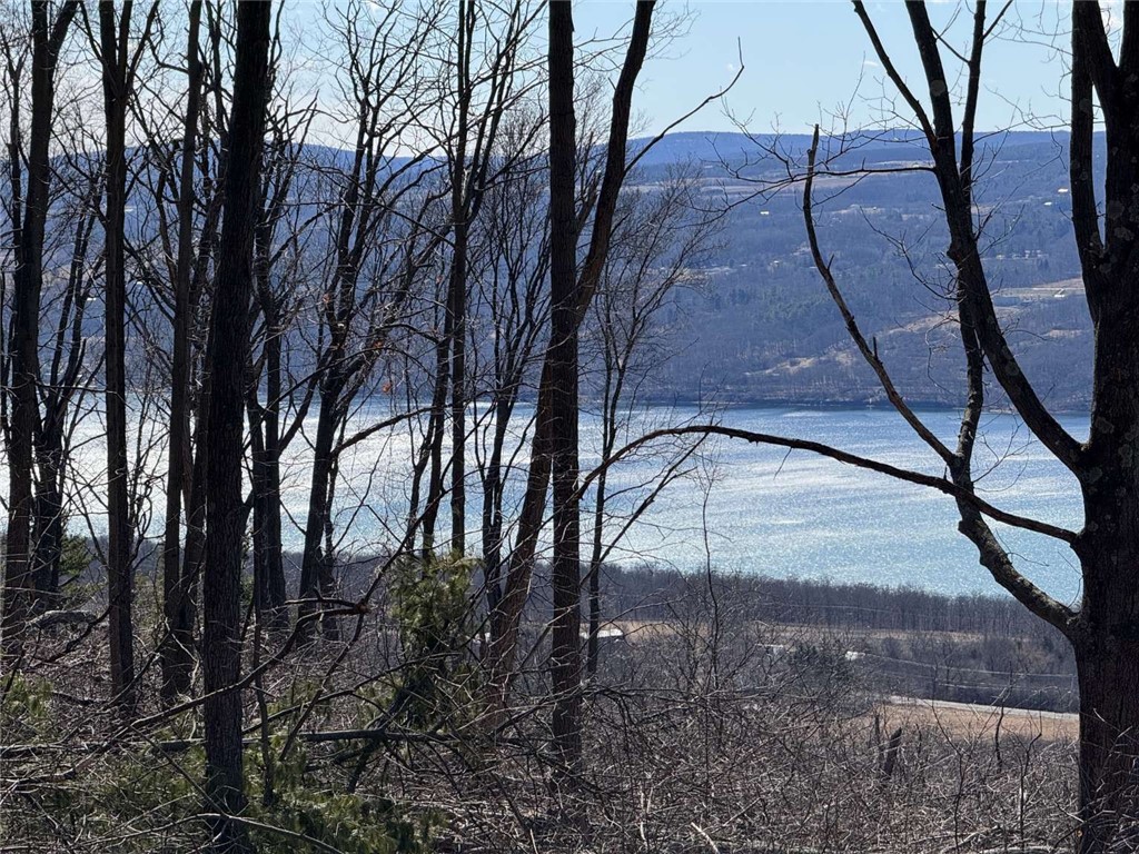 0 Satterly Hill Road Burdett, NY 14818 - Photo 6 of 6
