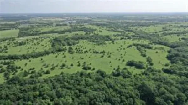 $674,820 | 22.494 County Road 703, Farmersville, TX 75442