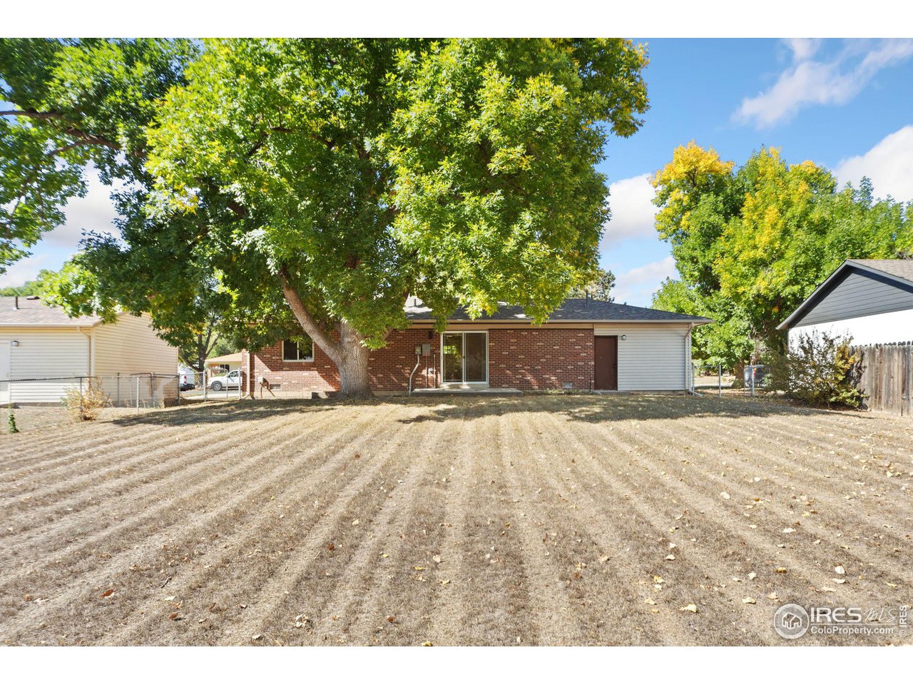 804 Gallup Road Fort Collins, CO 80521 - Photo 20 of 20 Backyard