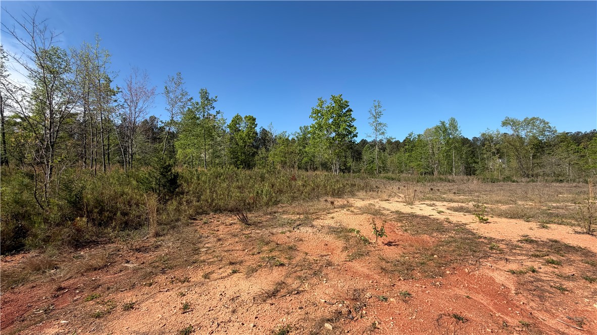 2125 Highway 247 Belton, SC 29627 - Photo 15 of 15 Clear skies above this ample lot, ready for development amidst natural surroundings.
