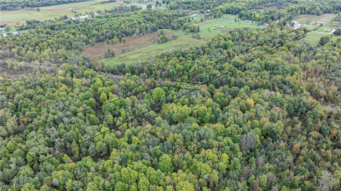 803 Clay Road Jefferson, OH 44047 - Photo 11 of 13 Drone / aerial view with a rural view