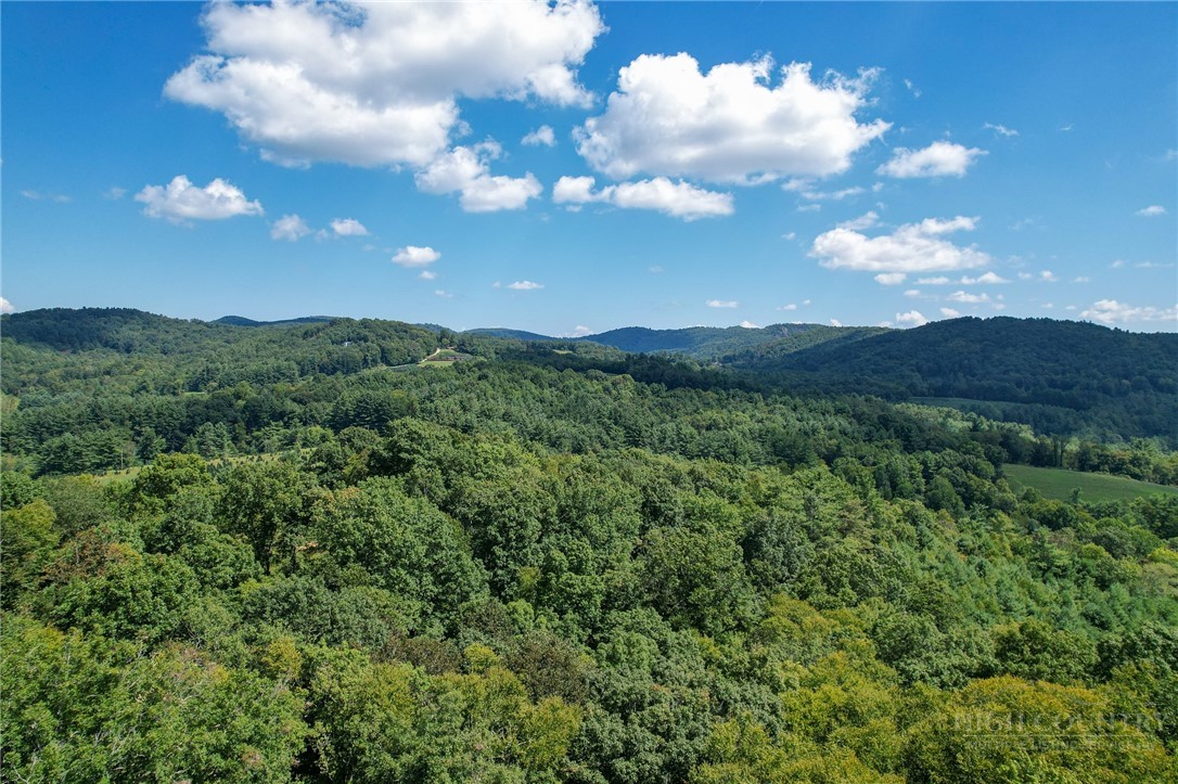 Elk Ridge Lane Laurel Springs, NC 28644 - Photo 26 of 27 Gallery Image 26