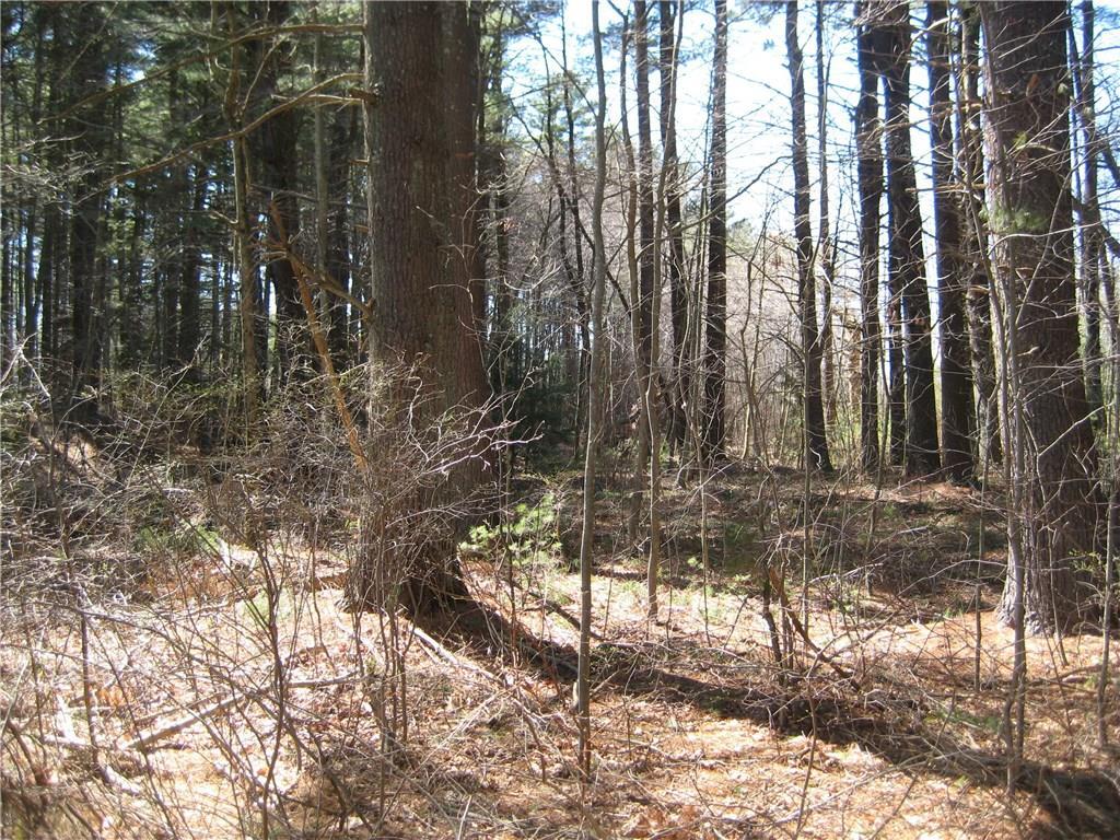 50 D Indian Inn Road Thompson, CT 06277 - Photo 1 of 1 a view of backyard of the house