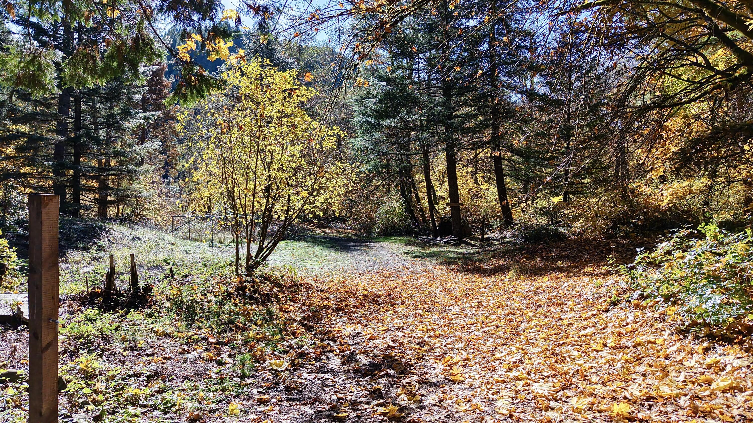 52 Dodes Creek Road Trail, OR 97541 - Photo 80 of 110 Acreage