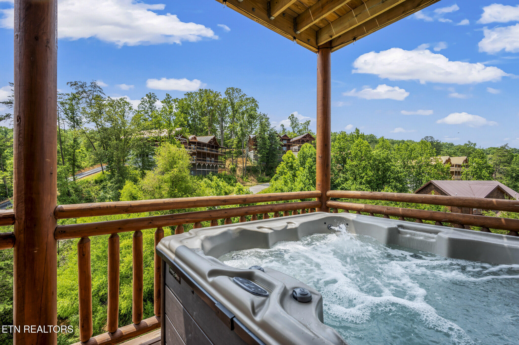 3303 Grace Way Sevierville, TN 37876 - Photo 9 of 56 JCM_1750