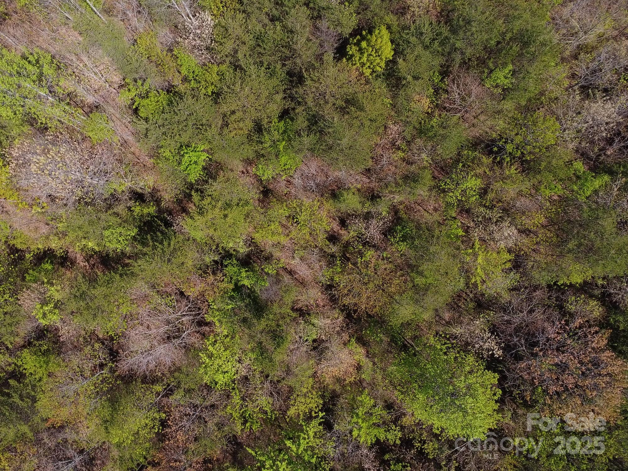 0 Snowhill Church Road Morganton, NC 28655 - Photo 40 of 40