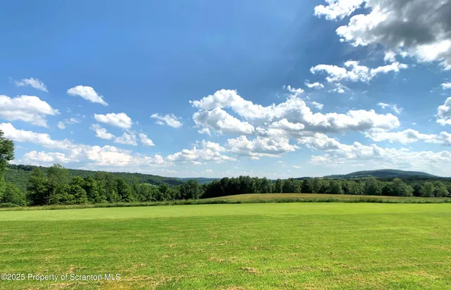 a view of a big yard with lots of green space