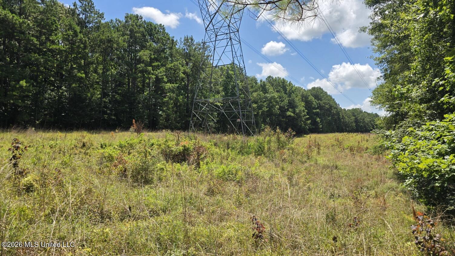 3995 Choctaw Road Brookhaven, MS 39601 - Photo 66 of 73 20260709_115036