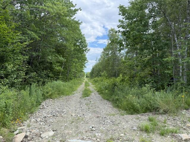 24 Old County Road Charlotte, ME 04666 - Photo 25 of 49 IMG_2569 (1)