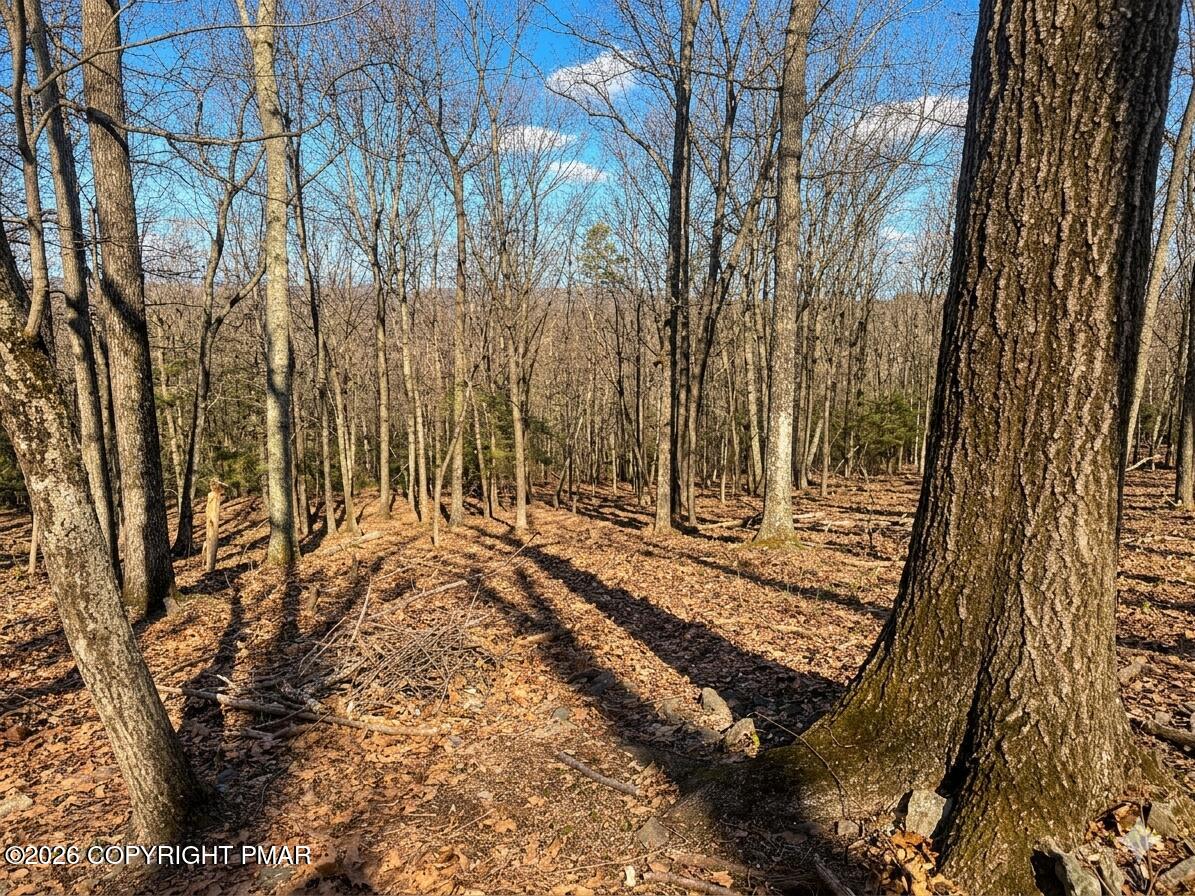 319 Cardinal Road Cresco, PA 18326 - Photo 1 of 3 a view of a backyard with pathway