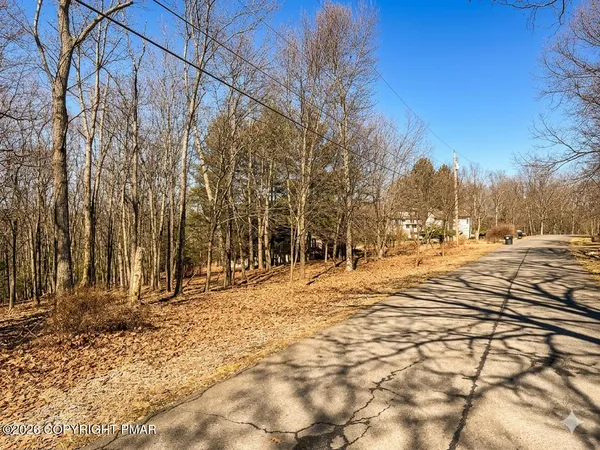 a view of road and trees