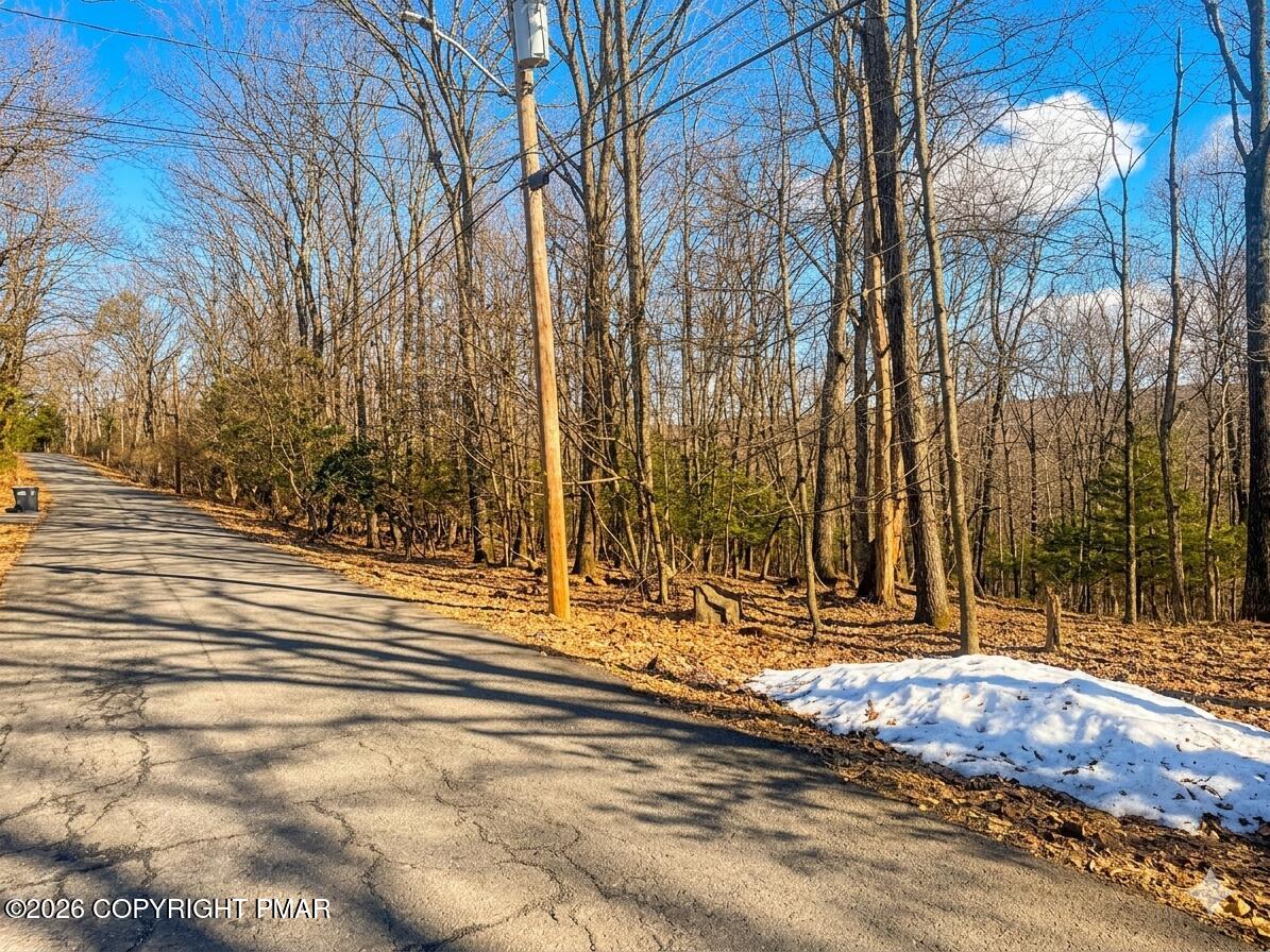 319 Cardinal Road Cresco, PA 18326 - Photo 3 of 3 a view of house with snow on the road