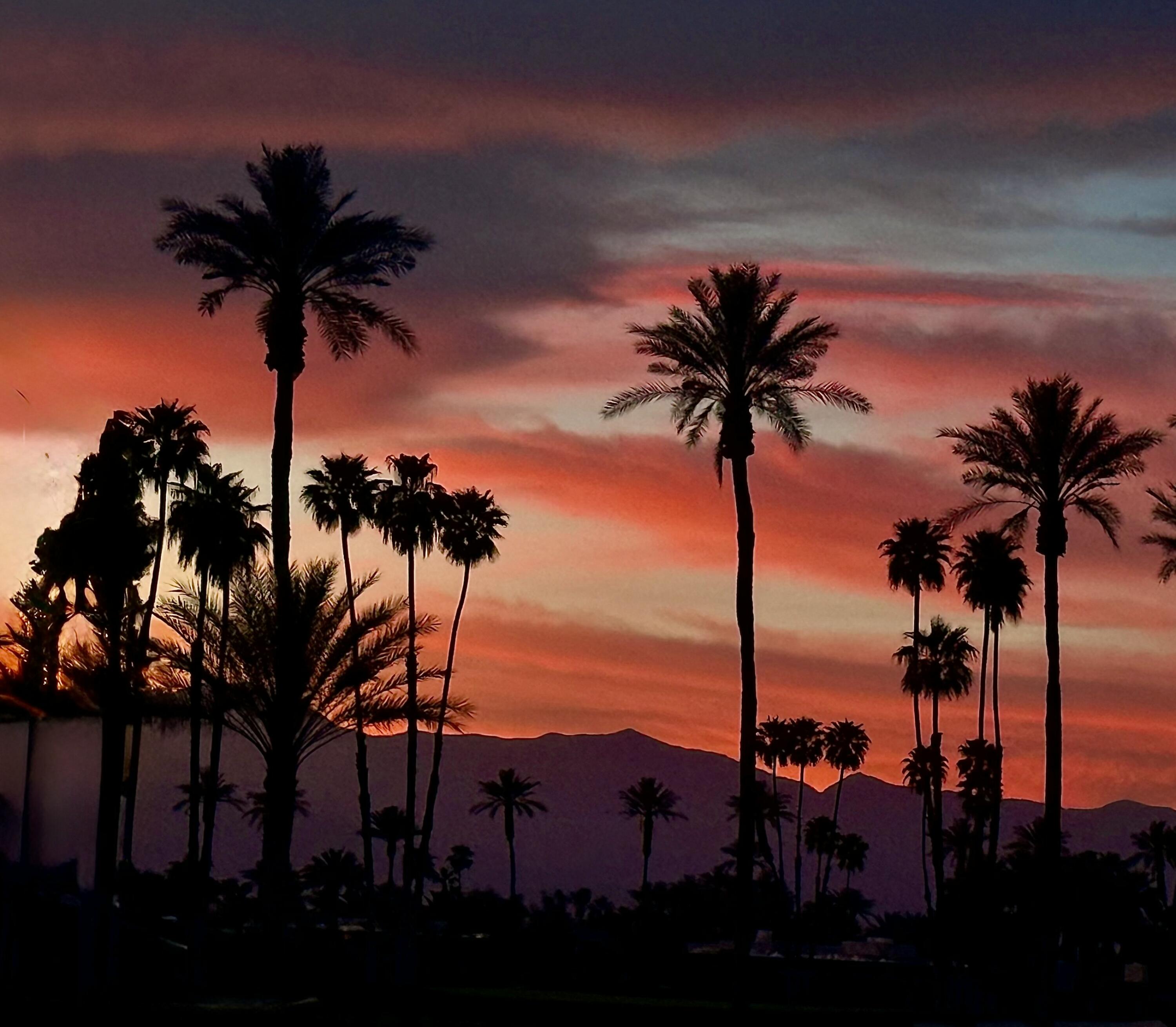 7 Tulane Court Rancho Mirage, CA 92270 - Photo 44 of 46 IMG_1975 (1)