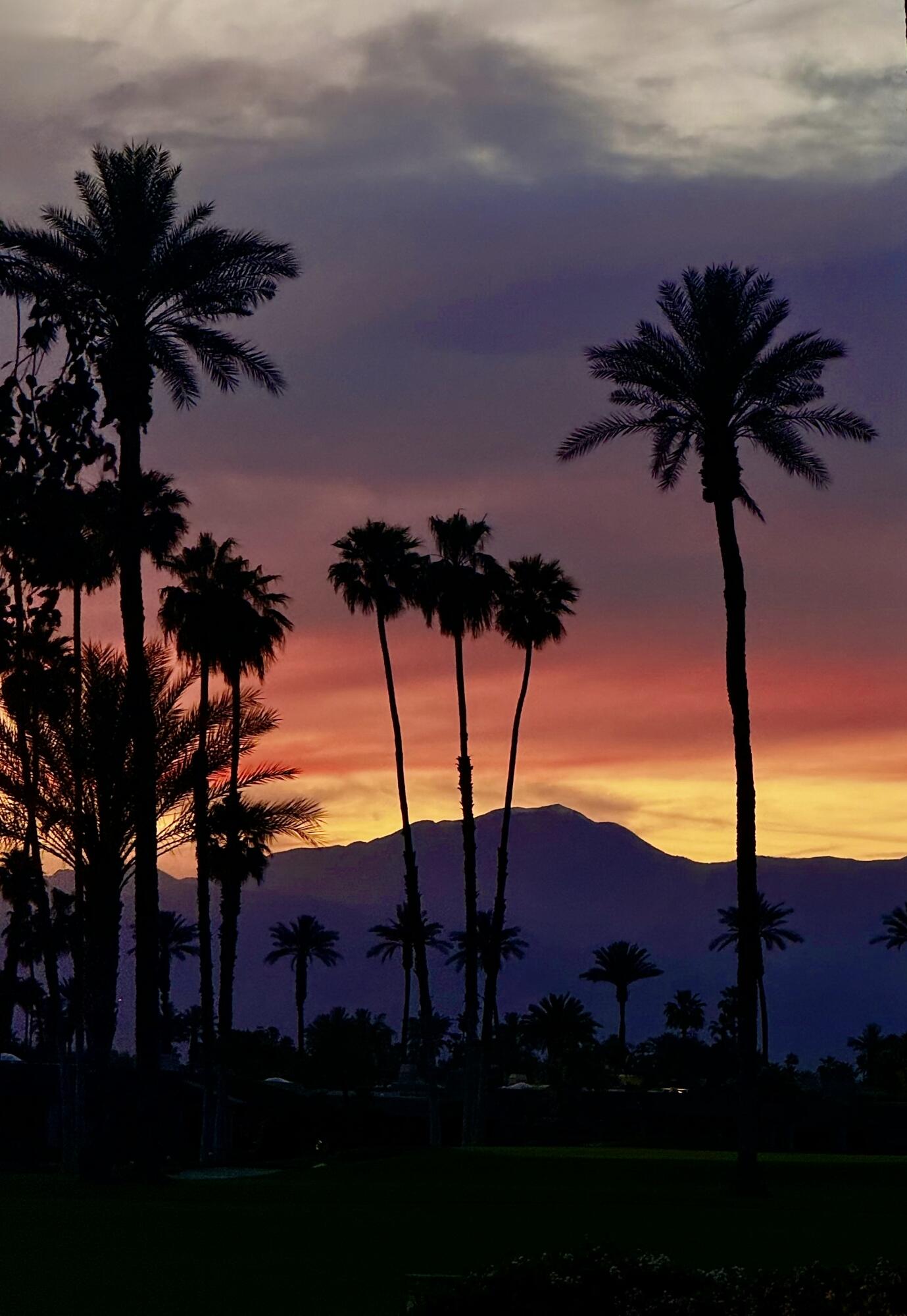 7 Tulane Court Rancho Mirage, CA 92270 - Photo 45 of 46 IMG_2031 (1)